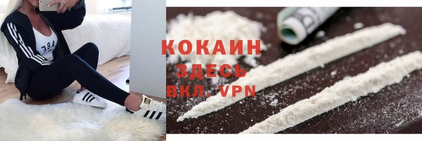 сатива Верхний Тагил