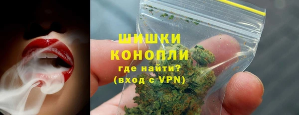 сатива Верхний Тагил