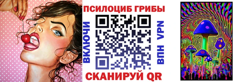 Псилоцибиновые грибы GOLDEN TEACHER Сургут